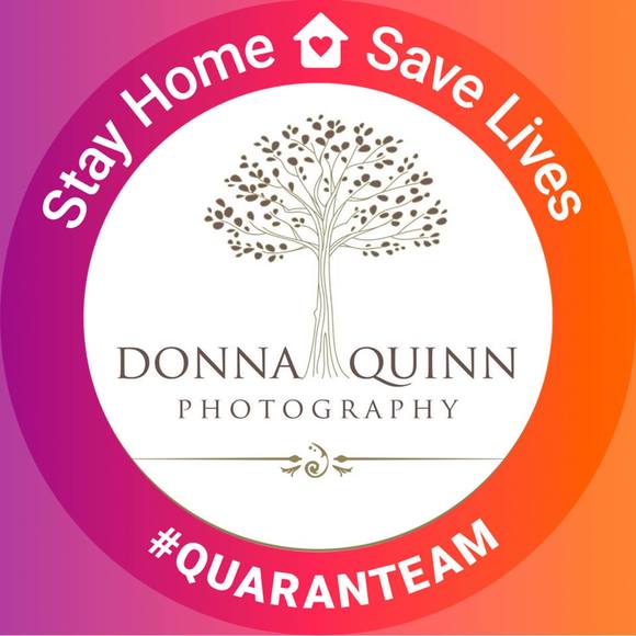 donnaquinn116